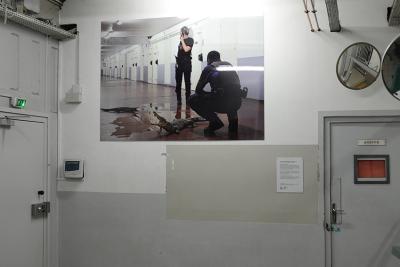 Arnaud Théval &quot;Histoire animale de la prison&quot; (2023) maison d’arrêt de La Talaudière (Saint-Étienne). Tirage sur HD vinyle et plastification monté sur dibon format 150 x 204 cm.