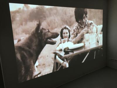 Arnaud Théval L'animal dans le fossé (2025) archive familiale.