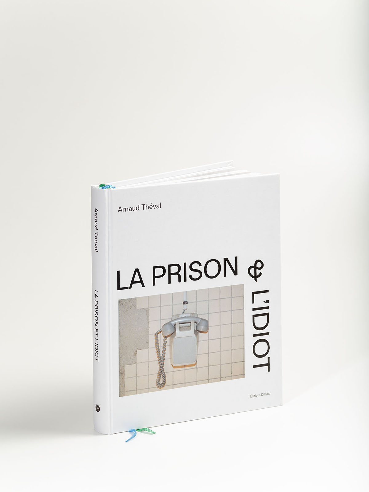 Arnaud Théval La prison et l'idiot (2017), Éditions Dilecta. © Christophe Pit.