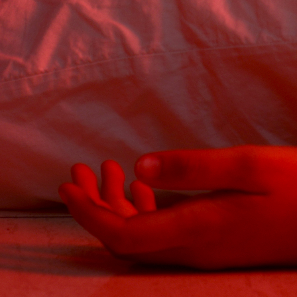 Arnaud Théval L'enfant, la mort et l'animal (2020), CPM