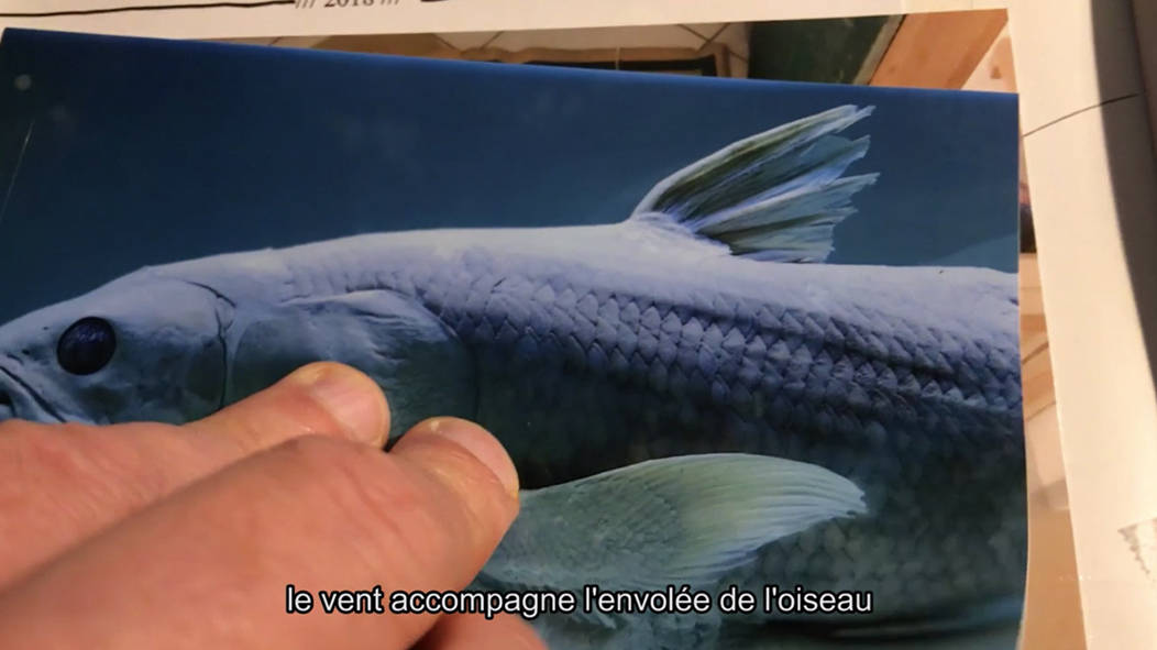 Arnaud Théval et Pauline Boyer L'animal me garde (2021), film. Centre Photographique Marseille.
