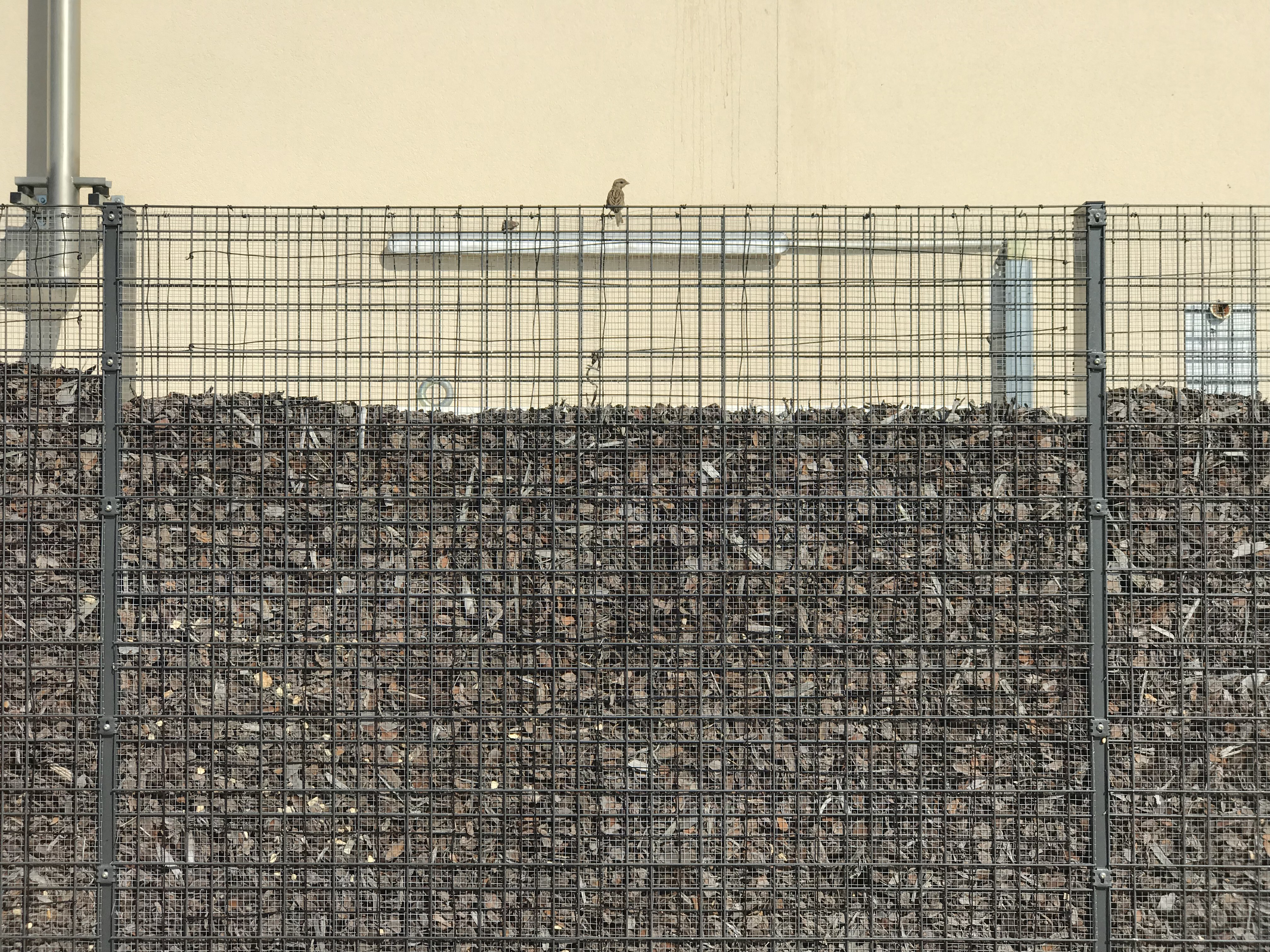 Arnaud Théval, document-collection 2 N°59 (2020)