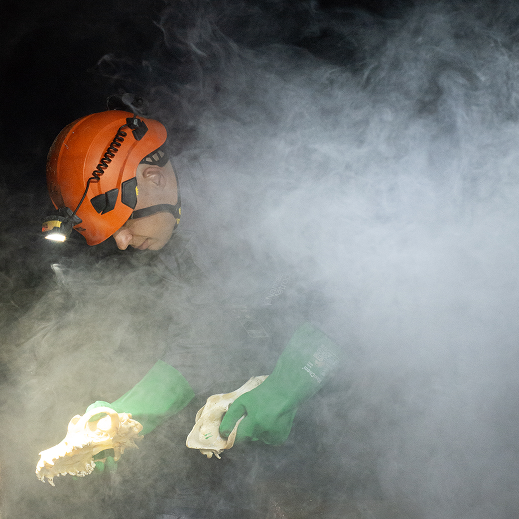 Arnaud Théval Oasis sous-terrain (2026), Nantes.