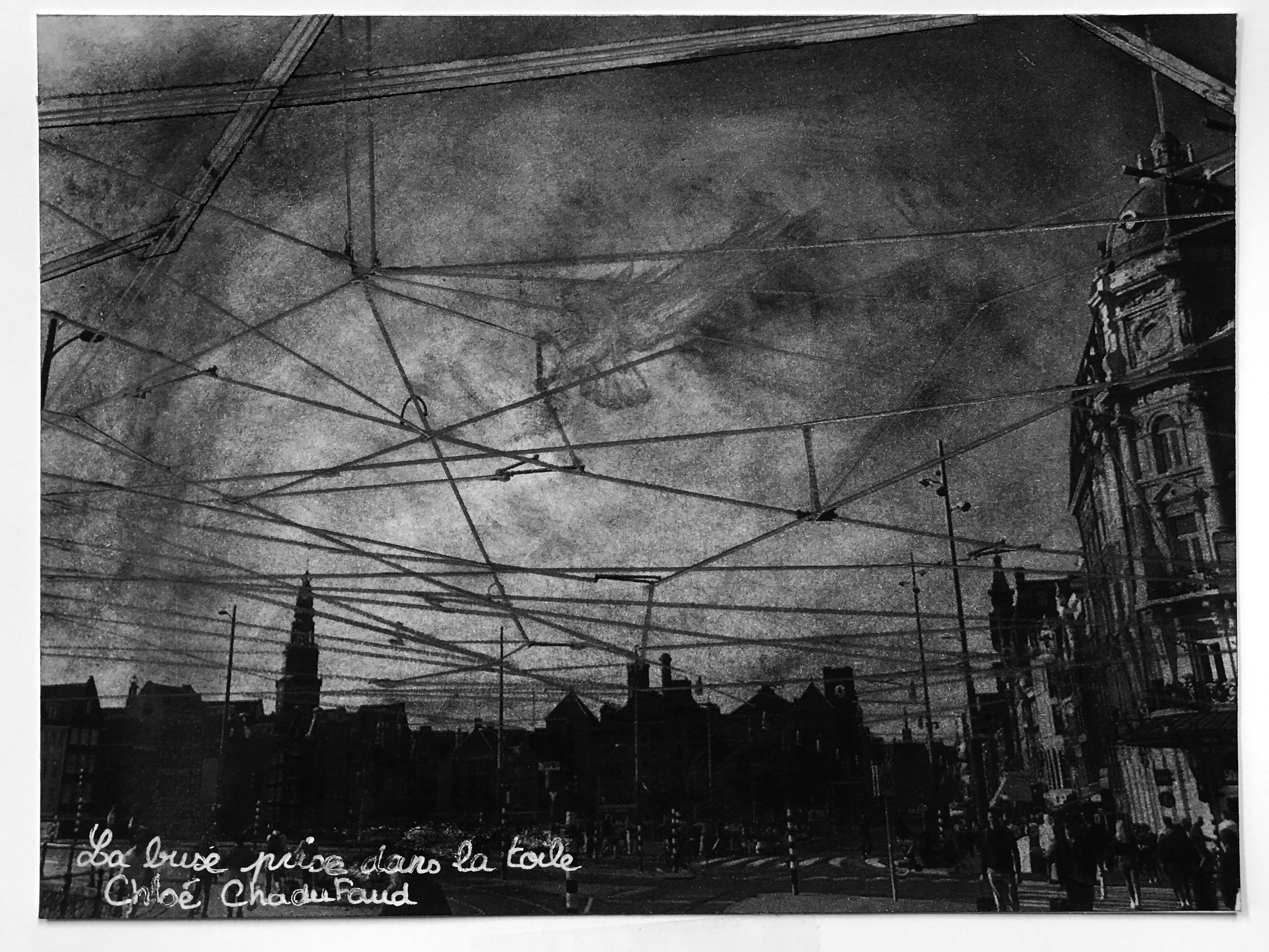 AAA « Voyez-vous l'animal tapi dans l'ombre de nos villes ? » (2021), ensap Bordeaux.