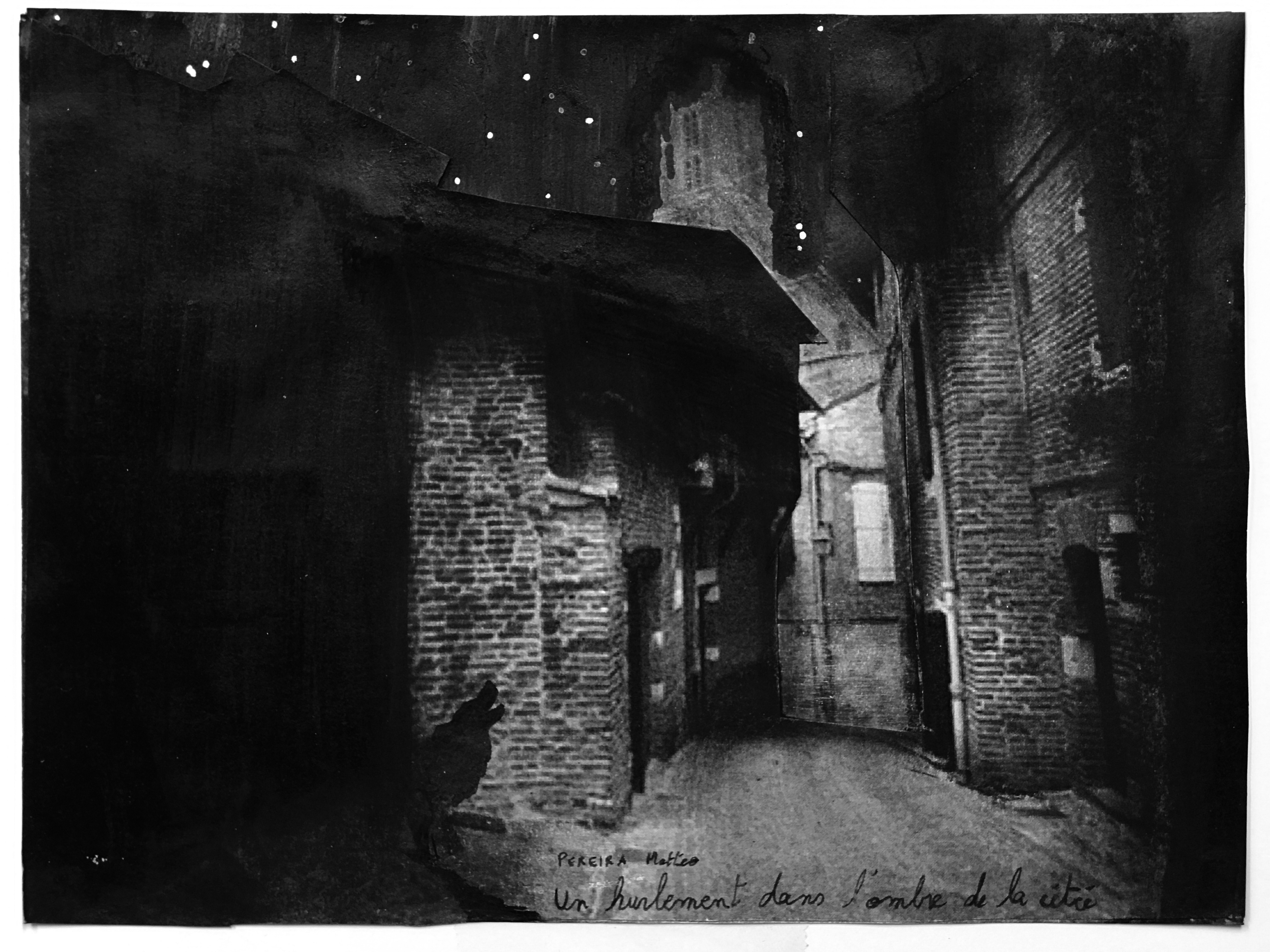 AAA « Voyez-vous l'animal tapi dans l'ombre de nos villes ? » (2021), ensap Bordeaux.