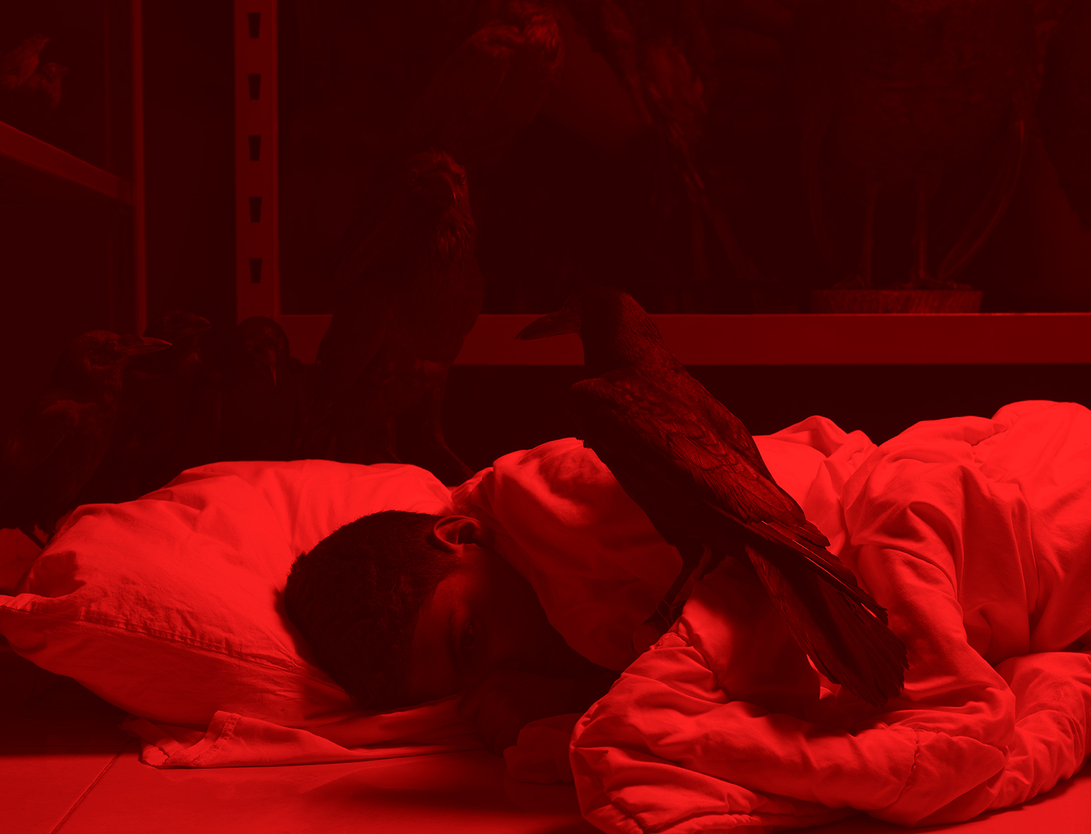 Arnaud Théval Le chant des réserves (2019) format 240 x 160 cm