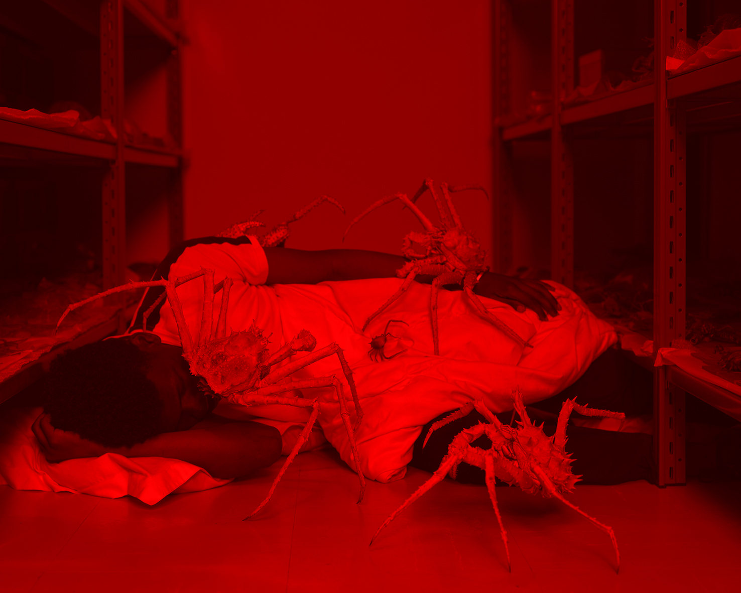 Arnaud Théval Le chant des réserves (2019) format 240 x 160 cm