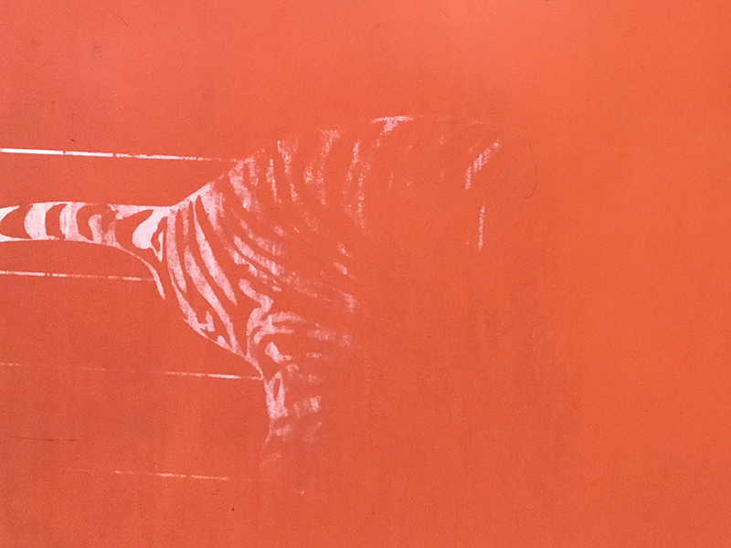 Arnaud Théval La cage aux oiseaux (2018-2020) Centre photographique Marseille