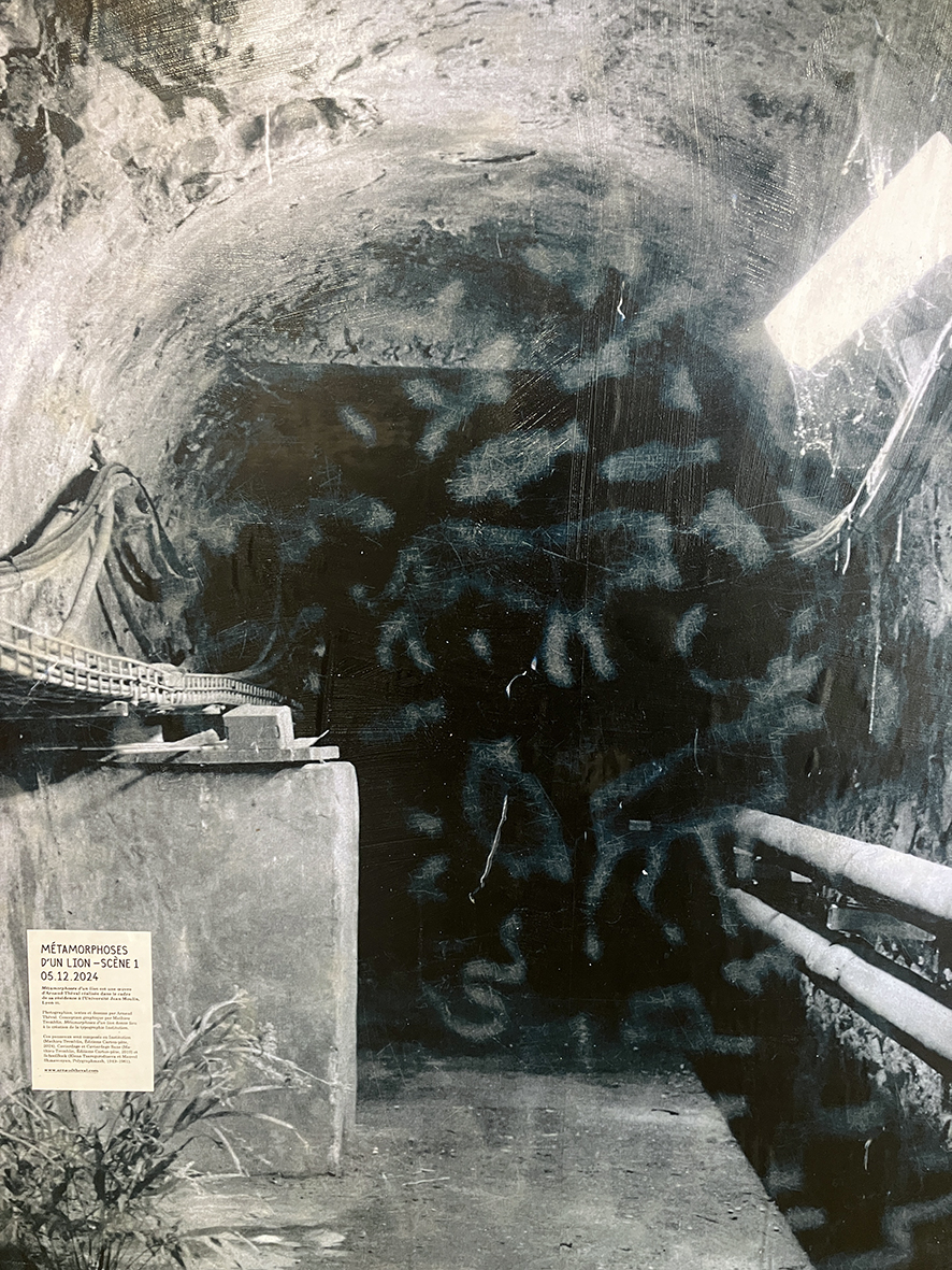 Arnaud Théval &quot;Métamorphoses d’un lion, scène 1&quot; (2024) photographies, textes et dessins par A.Théval. Conception graphique par Mathieu Tremblin. Université Jean Moulin, Lyon III.