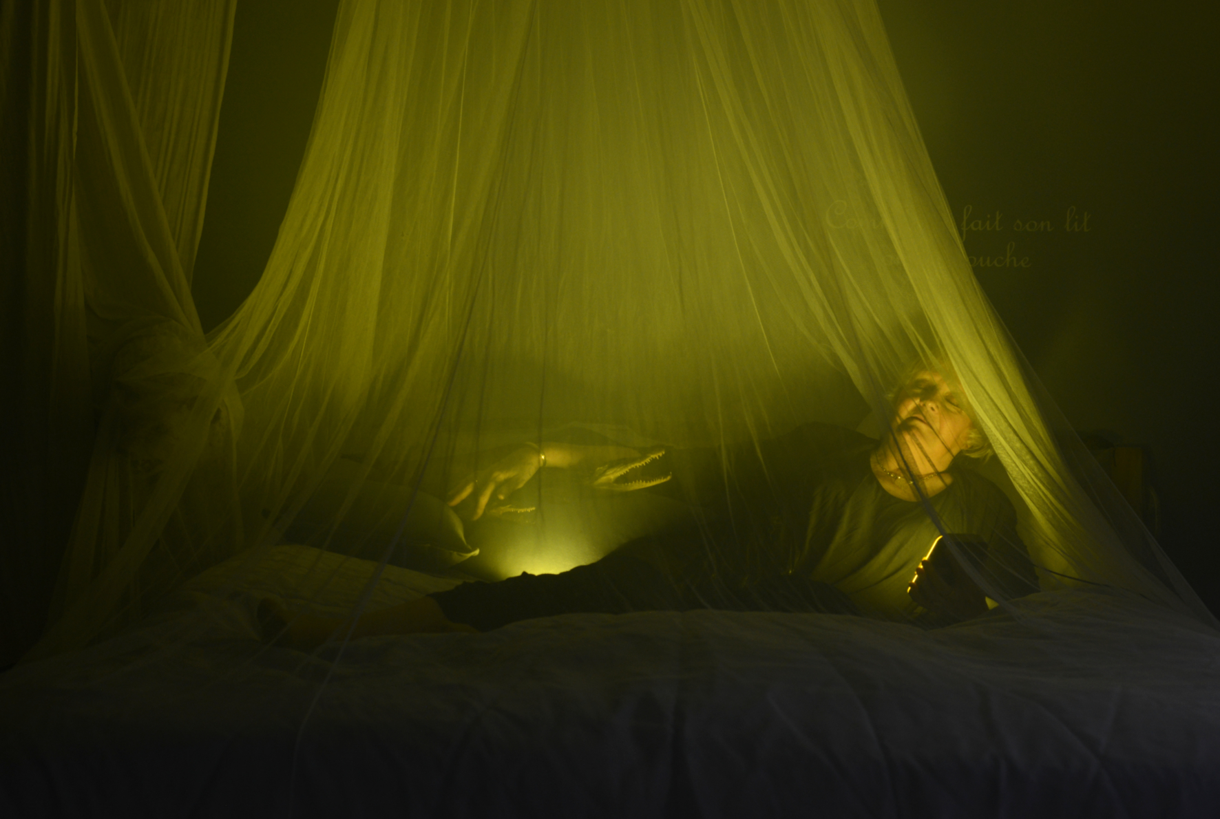 Arnaud Théval Partie de chasse, diorama inversé n°2 (2025) Université de Liège.