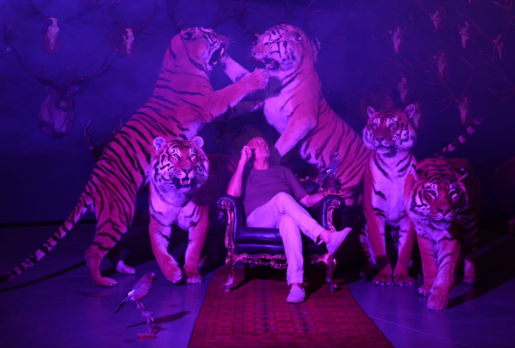 Arnaud Théval Partie de chasse, diorama inversé n°6 (2025) Université de Liège.