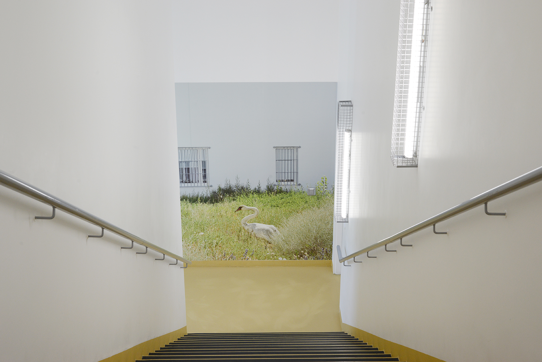 Arnaud Théval La chute du vent (2020) H 250 x L 374 cm, tirage affiche. Palier de l’étage Unité Santé. © D.R