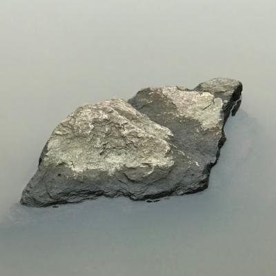 THEVAL CANCAN EXPO 308 BERGONIÉ