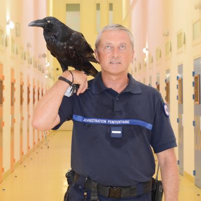 Arnaud Théval La coursive parlante (2020) H 160 x L 248 cm, tirage affiche. Salle de réunion. © D.R