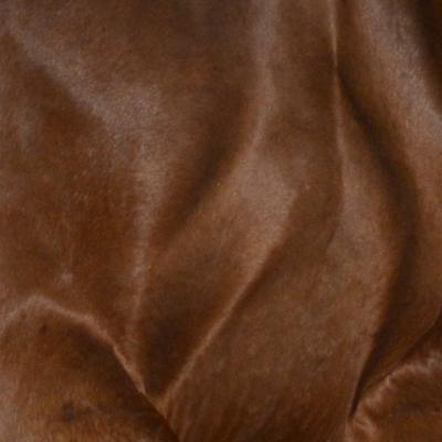 Arnaud Théval Guerre-Guérison Institut de lutte contre le cancer Bergonié Bordeaux