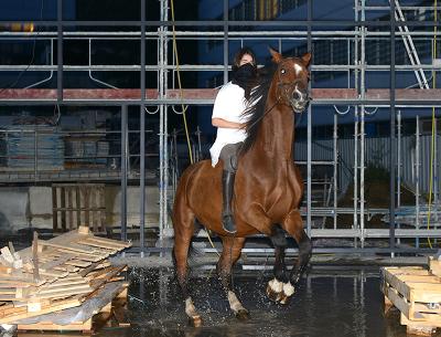 Arnaud Théval Guerre-guérison (2018), photographie sur dibon 160 x 210 cm.