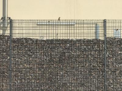 Arnaud Théval, document-collection 2 N°59 (2020)