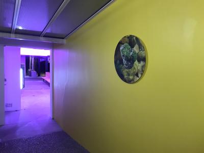 Arnaud Théval + Cancan Le chemin de sa personne (2022) Institut Bergonié, Bordeaux.