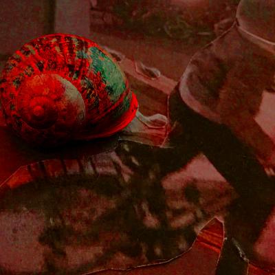 Entendez-vous l'oiseau ?