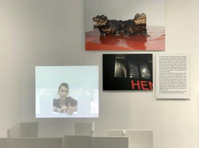 Arnaud Théval La cage aux oiseaux (2018-2020) Centre photographique Marseille
