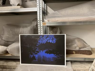 Arnaud Théval Partie de chasse (2025) Université de Liège.