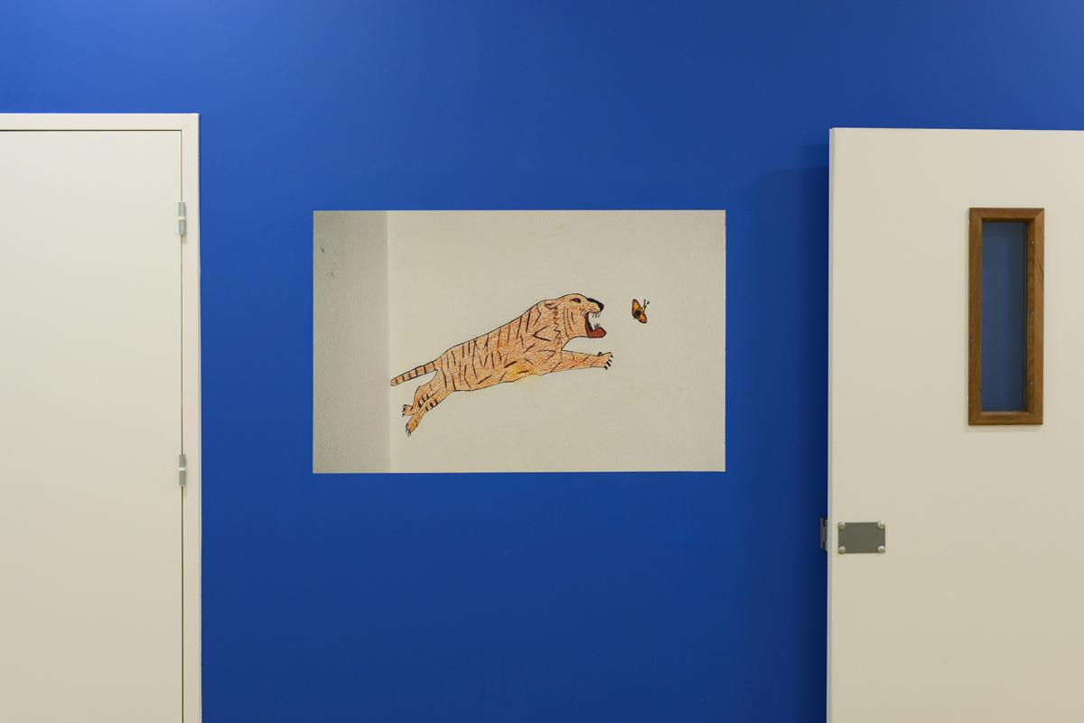 Arnaud Théval Le tigre et le papillon s'invitent (2020)
