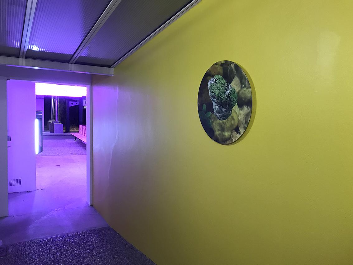 Arnaud Théval + Cancan Le chemin de sa personne (2022) Institut Bergonié, Bordeaux.