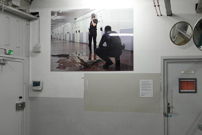 Arnaud Théval "Histoire animale de la prison" (2023) maison d’arrêt de La Talaudière (Saint-Étienne). Tirage sur HD vinyle et plastification monté sur dibon format 150 x 204 cm.