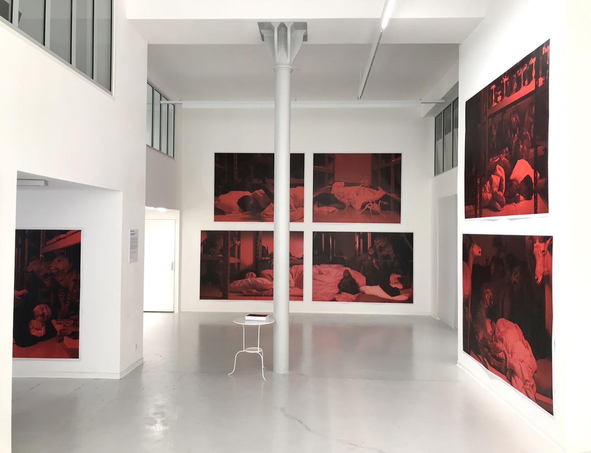 Arnaud Théval La cage aux oiseaux (2018-2020) Centre photographique Marseille
