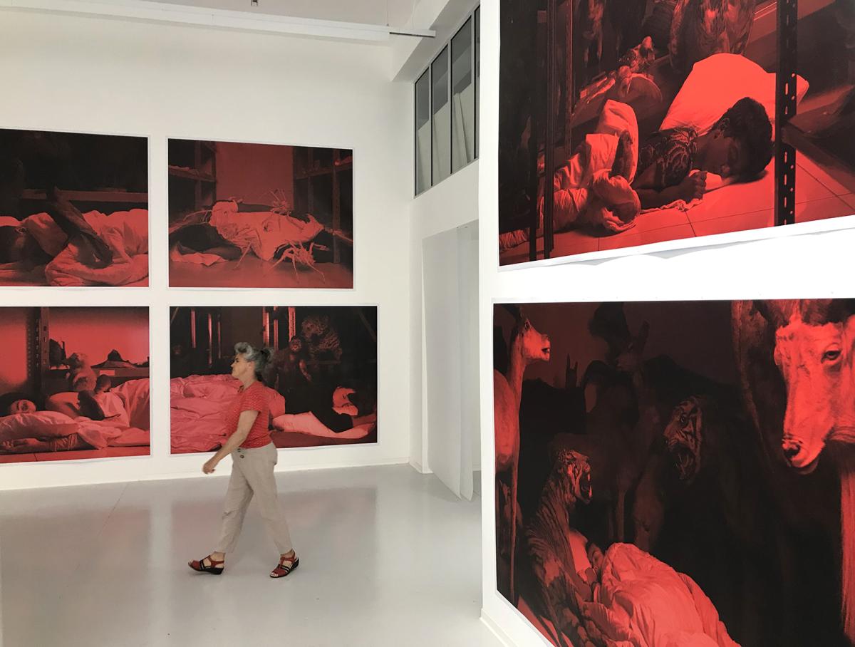 Arnaud Théval La cage aux oiseaux (2018-2020) Centre photographique Marseille