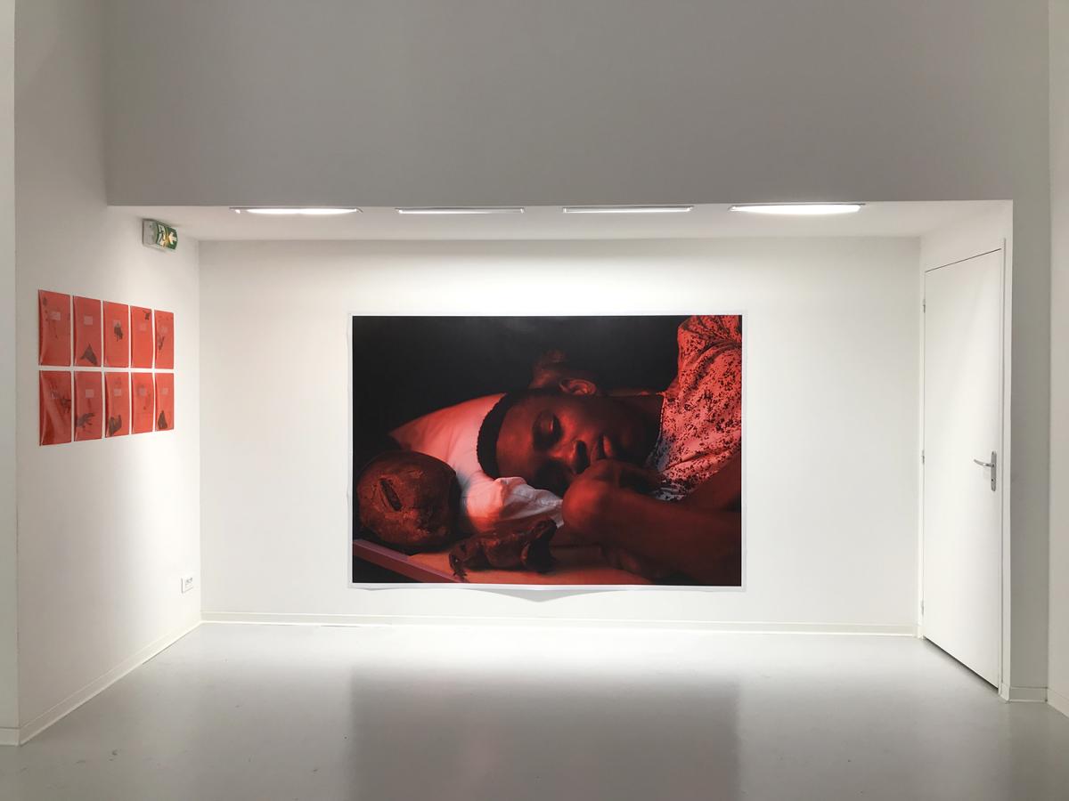 Arnaud Théval La cage aux oiseaux (2018-2020) Centre photographique Marseille