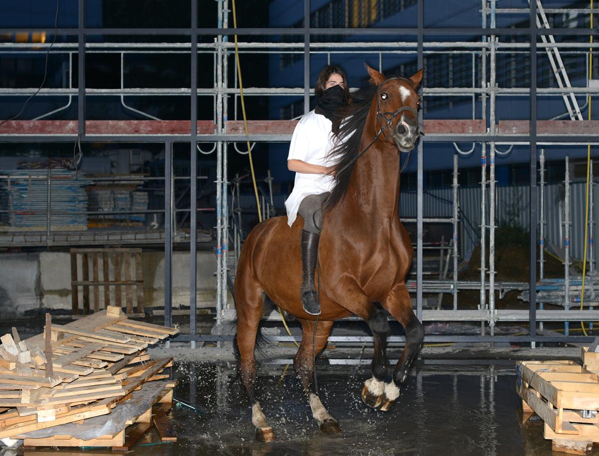 Arnaud Théval L'animal dans le fossé